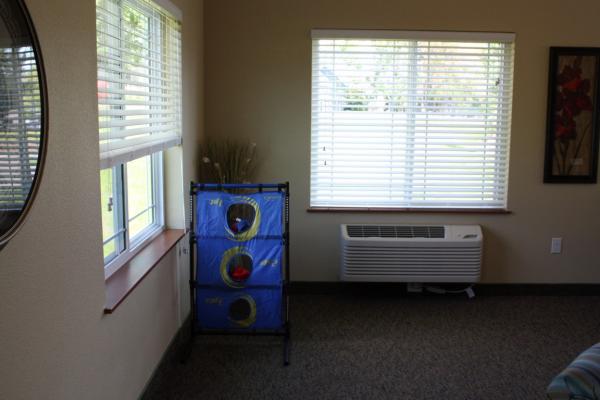 Environment Photo