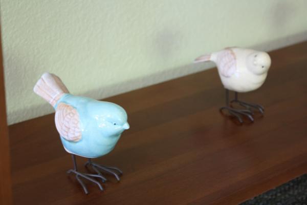 Environment Photo