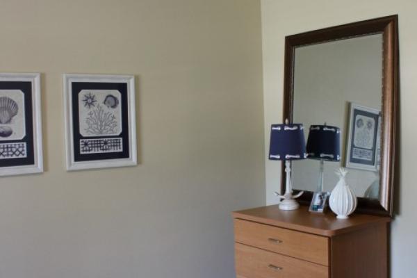 Environment Photo