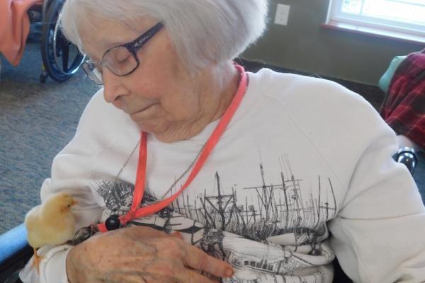 Life Enrichment Photo