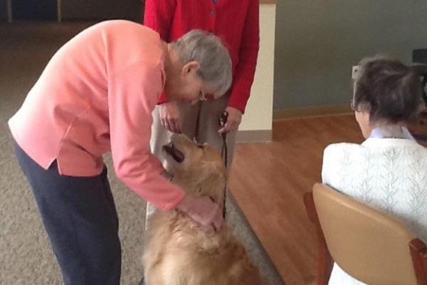 Life Enrichment Photo
