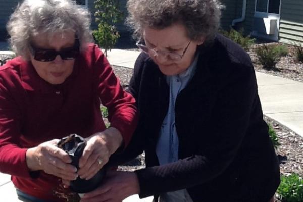 Life Enrichment Photo